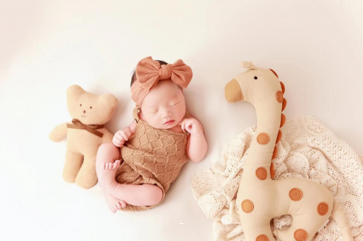 文山宝宝虾的做法 文山宝宝虾的做法